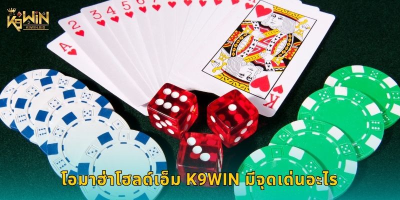 โอมาฮ่าโฮลด์เอ็ม K9win มีจุดเด่นอะไร